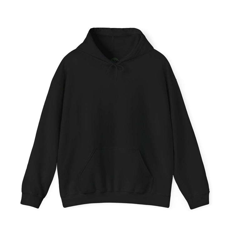 Artistic Hooded Sweatshirt, Cozy Unisex Hoodie, Perfect for Casual Wear, Travel - Inspired Apparel, Everyday Comfort - HIDDN LORE